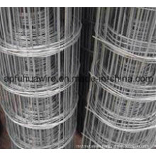 Stainless Steel Welded Wire Mesh Fence (manufacture)